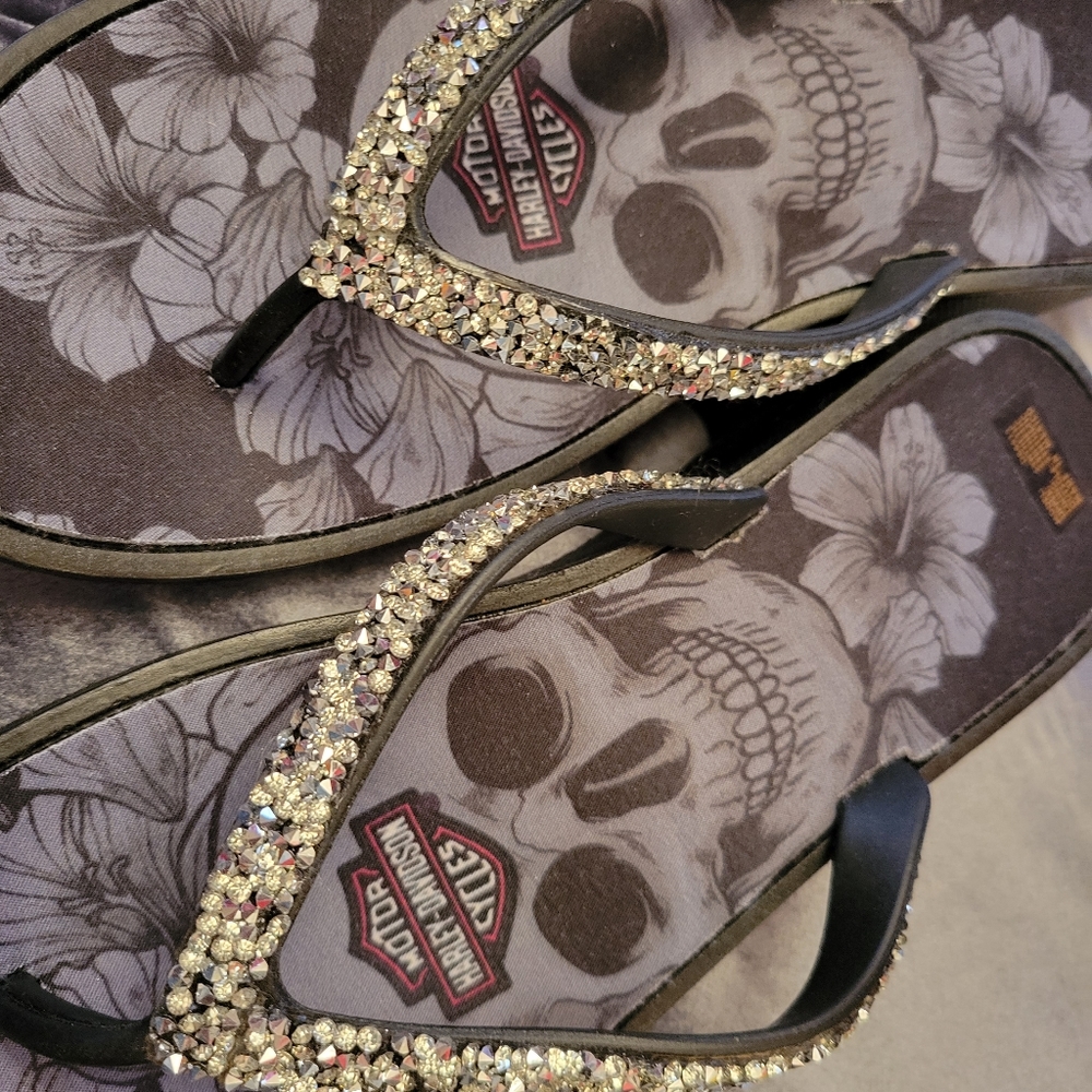 H-D Flip-flops